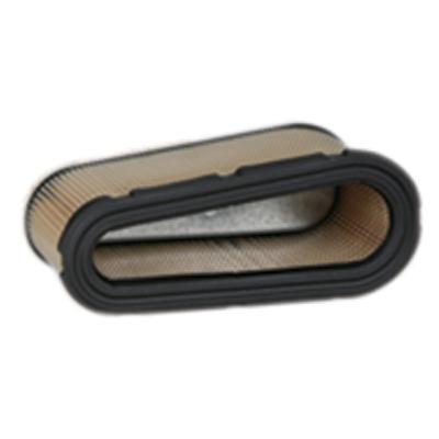 B&S luftfilter 496894S