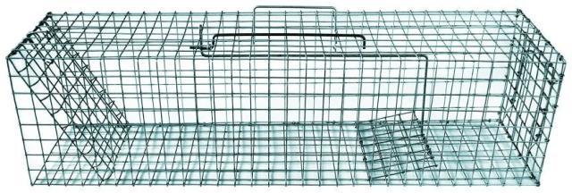 Ryom Mårhund Hvalpefælde