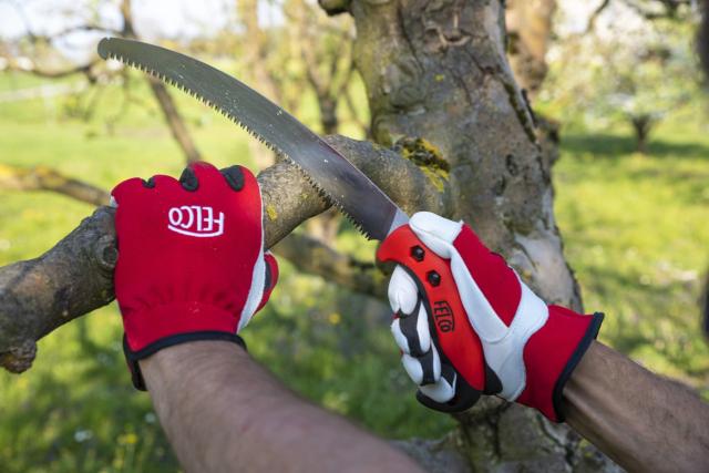 Felco 702 Beskæringshandsker - S