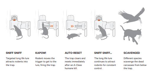 Goodnature Muse- og Rottefælde Smart Trap Kit