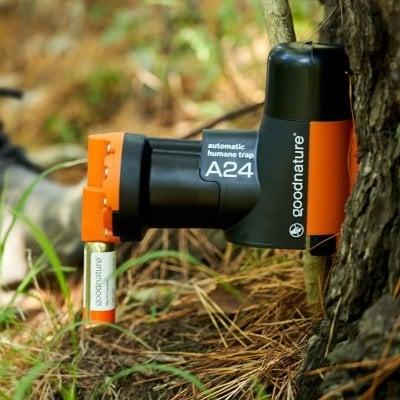 Goodnature Muse- og Rottefælde A24 Starter Trap Kit