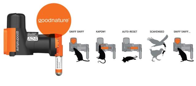 Goodnature A24 Rottefælde 