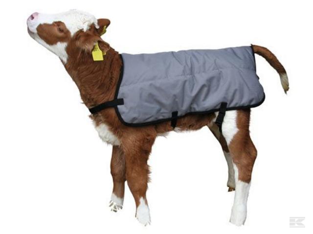 Kalvedækken 80 cm Grå Vaskbar