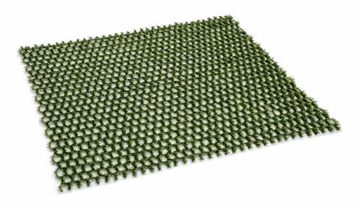 Hybridgræs 1x10 m²