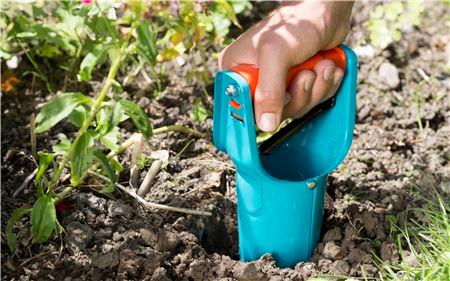 GARDENA 3412-20 Blomsterløgsplanter