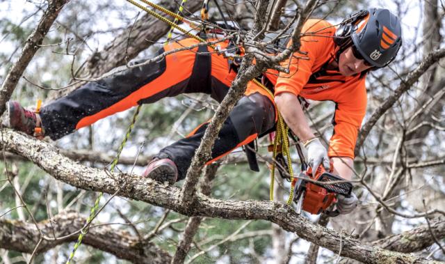 Husqvarna T525 topkapsav